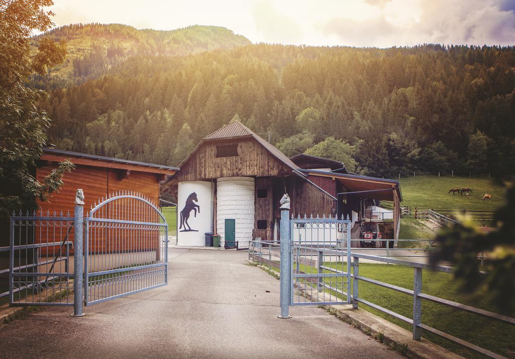 Vila Raderhof Feld am See Exteriér fotografie